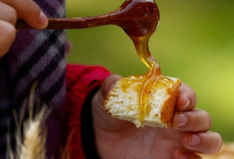 出口跌了九成 中国蜂蜜要被法国封禁了？