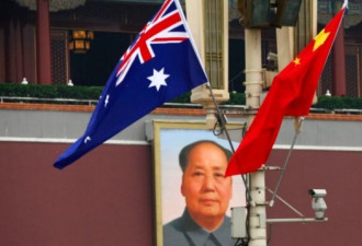 澳官员批中国行为恶劣 引发中国强烈不满