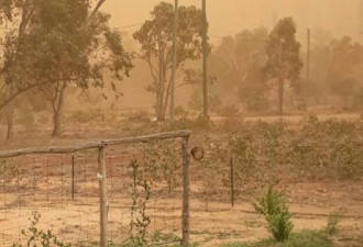 澳洲沙尘暴一片橘红 如“星际穿越”现实版