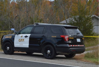 渥太华以南小镇发现三具尸体警方展开调查