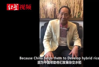 袁隆平在线教学，杂交水稻英文怎么说？