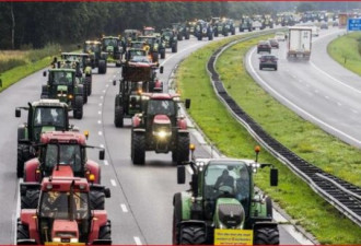荷兰农民不好惹 阻塞交通1000公里