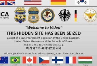 韩国儿童色情暗网被毁 多国警方联合逮捕数百人
