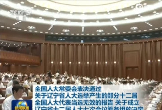 张德江:辽宁省45名全国人大代表当选无效!