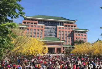 10万人涌大学校园赏花 学生吓得不敢出门