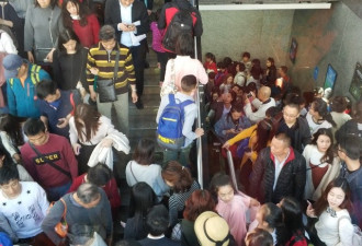 10万人涌大学校园赏花 学生吓得不敢出门