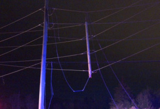 宾顿车祸撞断电杆 导致7,000用户断电