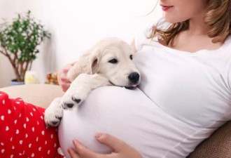 我打掉了孩子，只因婆婆扔了我养了7年的狗
