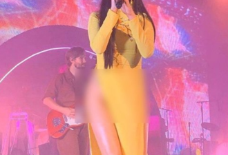 美国女歌手穿越南奥黛露大腿 网友:穿上裤子