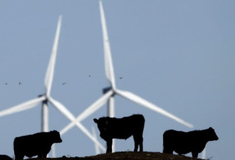 股神巴菲特的能源公司将在阿省兴建风电场