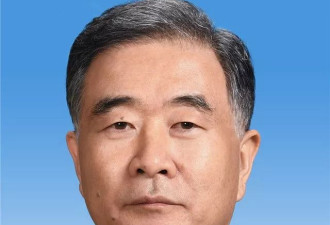 汪洋当选新一届全国政协主席
