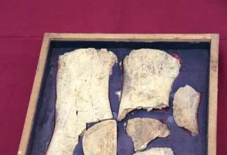 甲骨文还有一大半字不认识，破译一字奖10万