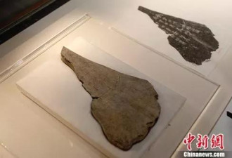 甲骨文还有一大半字不认识，破译一字奖10万