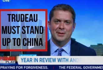 杜鲁多赢了！杜鲁多艰难连任加拿大总理