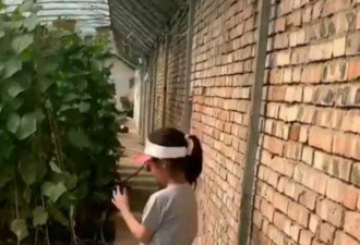 李小璐母女干农活，6岁甜馨土墙边拔萝卜