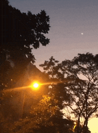 女子拍夕阳拍到不明飞行物！爸爸兴奋大喊
