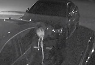 视频：约克区偷车贼如此嚣张 叼着香烟从容作案