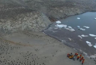 出人意料 南极危险群岛发现150万只企鹅