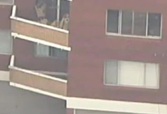 玩耍时纱窗突然弹开，澳洲2岁男娃从3楼坠下