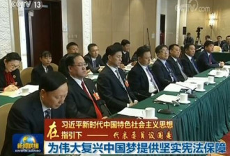人大代表纷纷对修宪表态：为中国梦提供保障