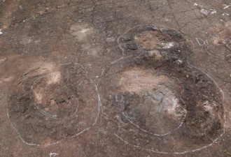 浙江发现一亿年前恐龙脚印 可是被当地村民填了