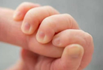 谢霆锋妹妹产后8个月首现身，身材恢复如初
