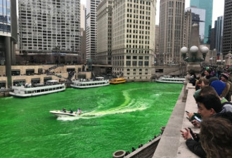 全美最疯狂！芝加哥染绿河水庆圣派翠克节