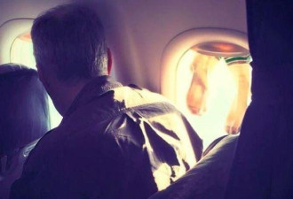 飞洛杉矶航班上 惊见有人在机舱晾晒袜子