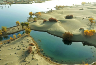 童话之景：新疆塔里木河流域秋日美景如画
