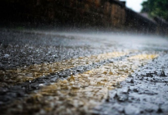 周六晚间GTA降雨量40毫米 当局警告淹水风险
