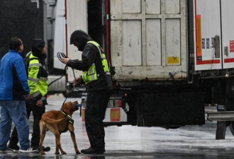 法国港口再发现8人藏冷藏货车里 包括4名孩童