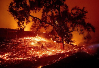 加州野火肆虐陷入红色火海 场面十分震撼