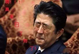 安倍要疯了！日本把新首相都选出来了