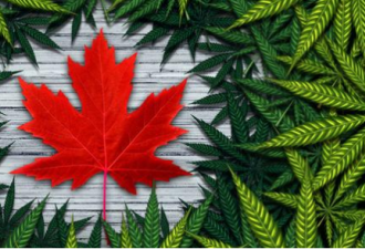 大麻食品来了 加拿大本周合法化 …家长当心