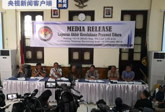 印尼公布狮航客机空难的最终调查报告
