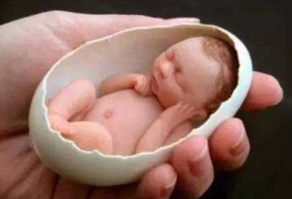 世界上最小的婴儿：可放进蛋壳里睡觉