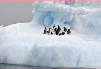 中俄再联手 南极海洋保护区流产