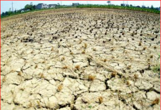 长江中下游现40年来最严重干旱