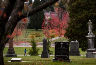 温哥华墓园为了环保，让三四人合葬一处墓穴