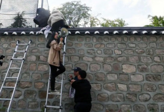 韩国人翻墙进美国大使官邸 抗议保护费涨价