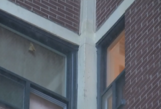 士嘉堡公寓8楼空调机从天而降！砸死2岁女童