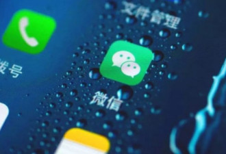 更新iOS13.2后 你的微信就废了 果然是iBug13