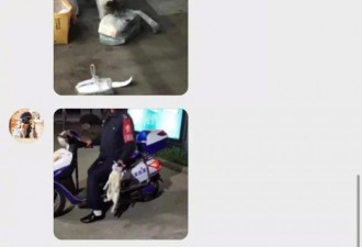 李小璐出轨PGone原因找到了？哈哈哈哈哈笑死