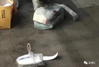 李小璐出轨PGone原因找到了？哈哈哈哈哈笑死