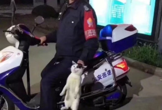 李小璐出轨PGone原因找到了？哈哈哈哈哈笑死