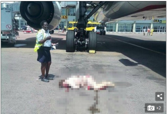 阿联酋空姐疑自杀跳机 用玻璃瓶架下巴受重伤