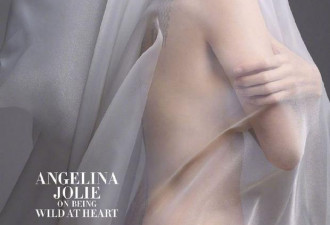 44安吉丽娜·朱莉穿裸体批薄纱拍性感写真