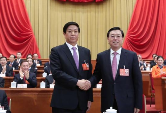 栗战书当选全国人大常委会委员长 同张德江握手