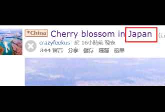 Reddit上4万人点赞的日本樱花，是贵州的…