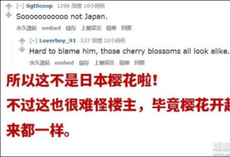 Reddit上4万人点赞的日本樱花，是贵州的…